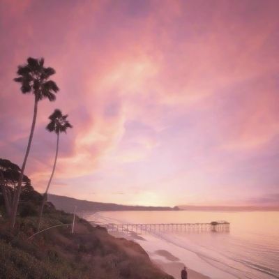 押注篮球的app下载手机版