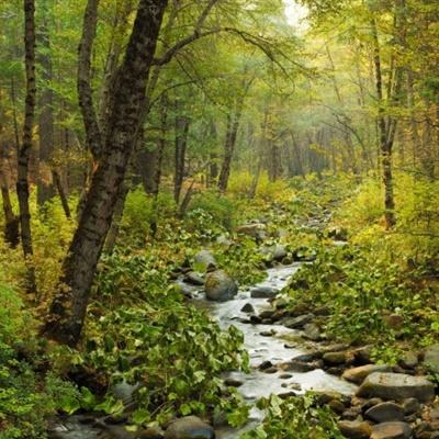 万博亚洲客户端