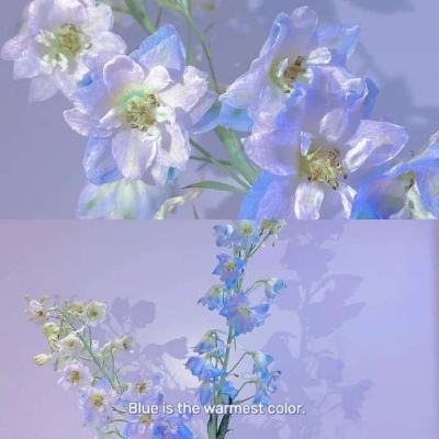 云平台appapp下载