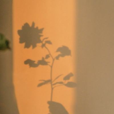 BOB·体育综合(综合)APP下载安装app下载