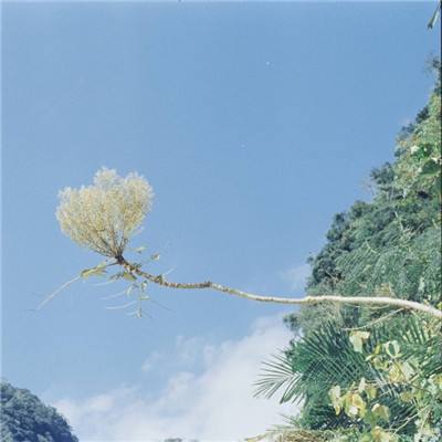 帝一娱乐下载手机版