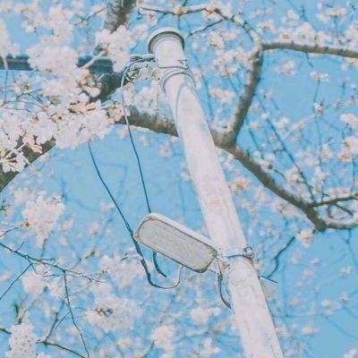 BOB·体育综合(综合)APP下载安装app下载