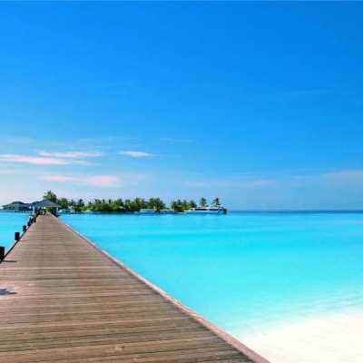 星空体育app下载手机版截图