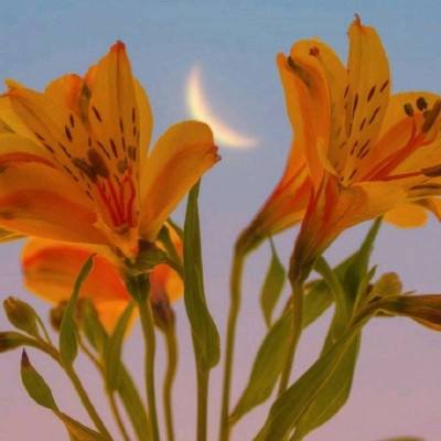 ManBetX网页版登录