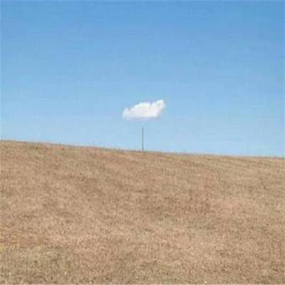 万博·ManBetX手机手机app下载